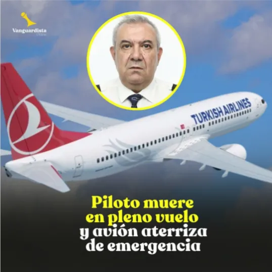 FireShot Capture 14838 - El Vanguardista Online - Un piloto de Turkish Airlines murió tras d_ - www.instagram.com (1)