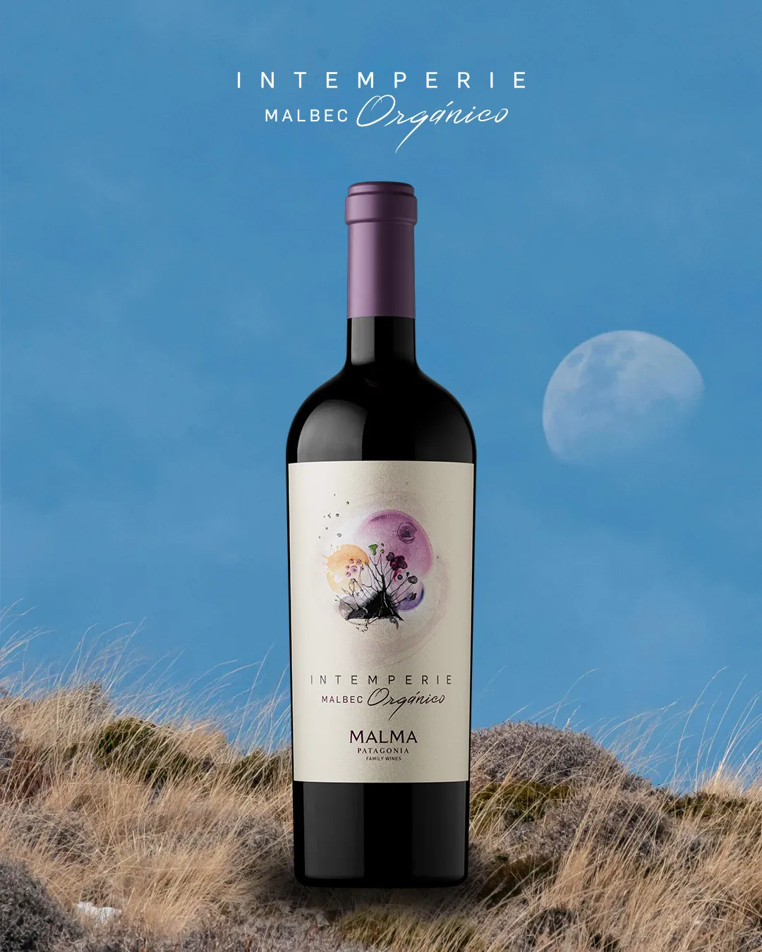 Foto - Intemperie Malbec Orgánico, de Bodega 2Malma