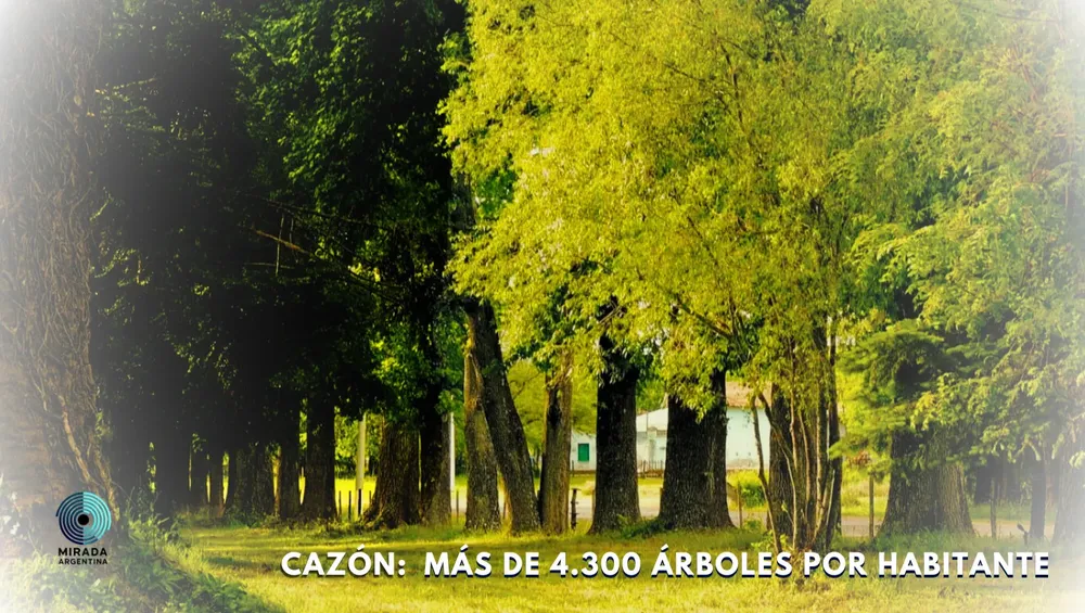 cazon_tapa_01