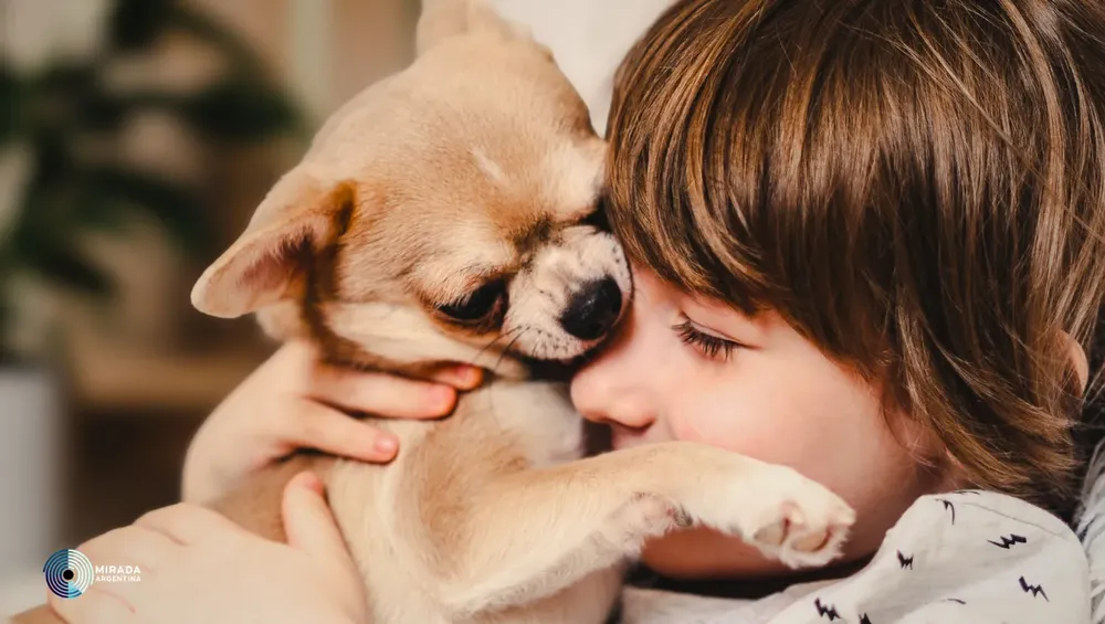 sintonizar_perros_tapa_04