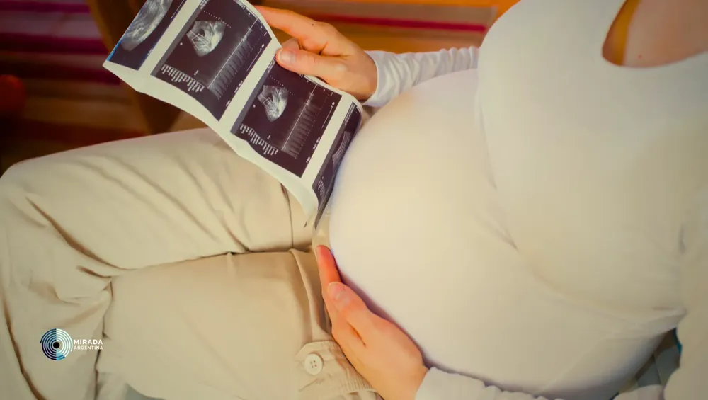 natalidad_40_tapa_01