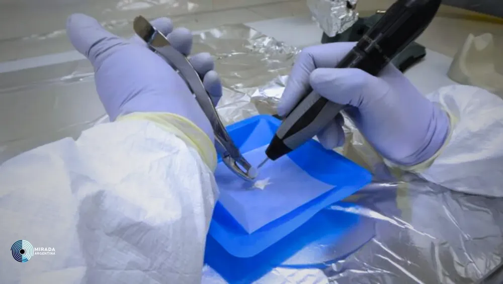 CONICET_NOTA_LINAJE_1-720x400_01.jpg_tapa