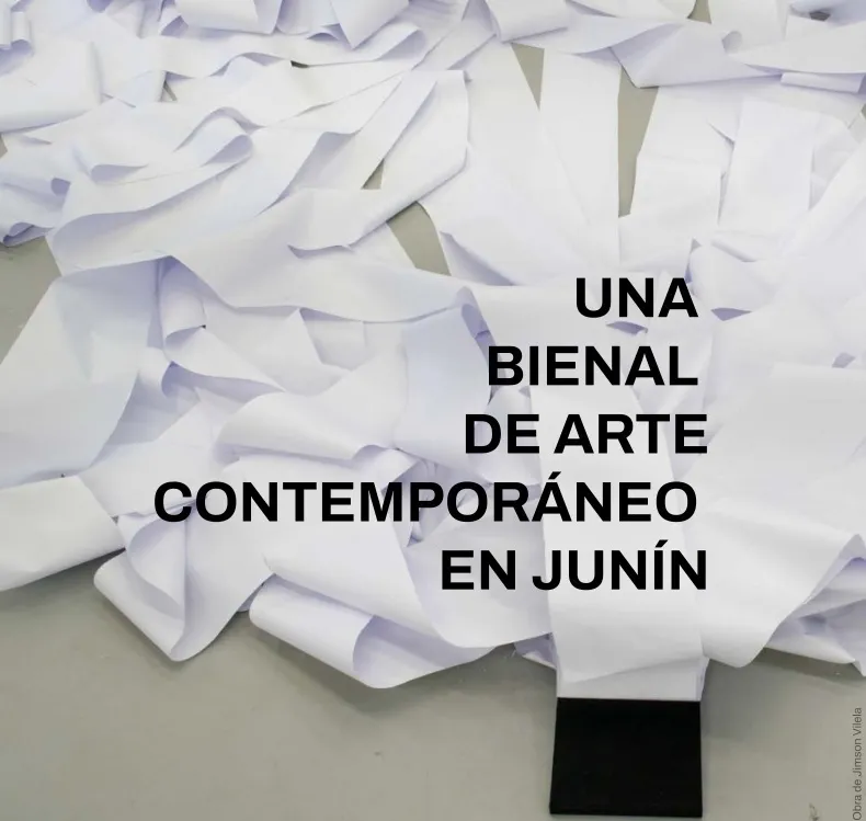 FireShot Capture 14875 -  - posversobienal.com.ar