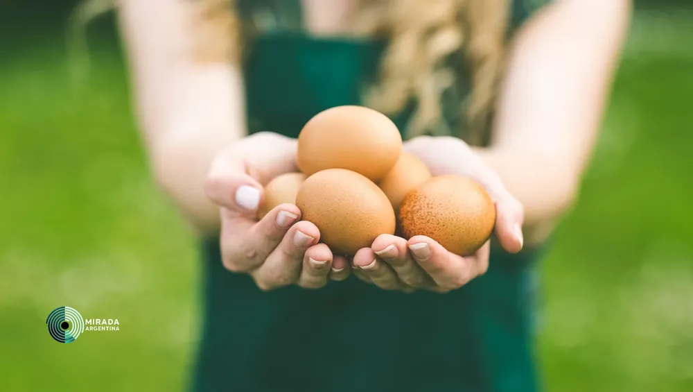 huevos