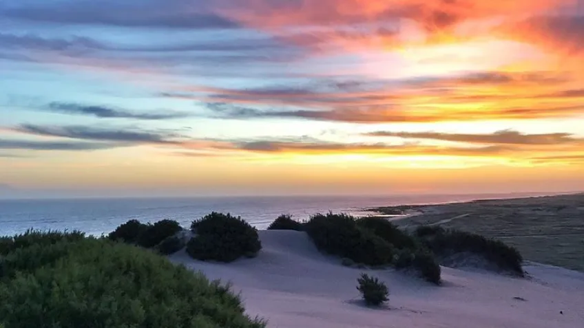 playas_arenas_verdes_01