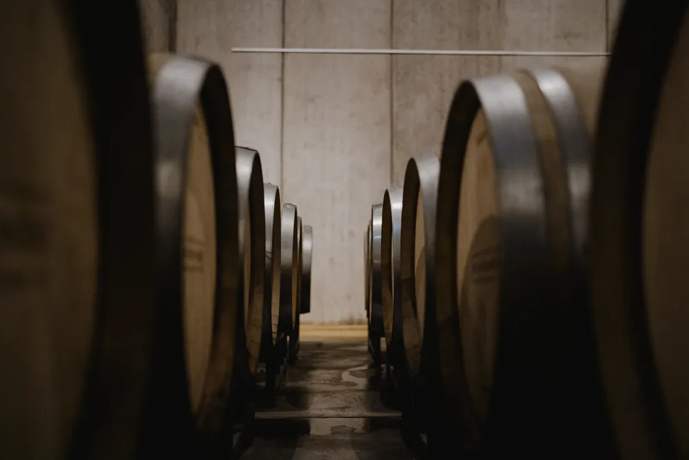 Bodega Malma_3