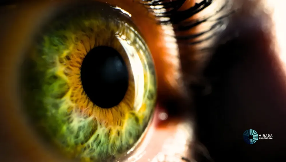 iris_01_tapa_00