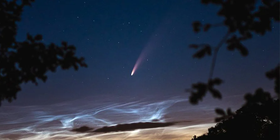 NEOWISE