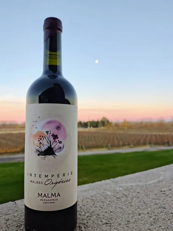 Foto - Intemperie Malbec Orgánico, de Bodega Malma