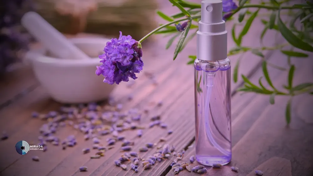 lavanda_03