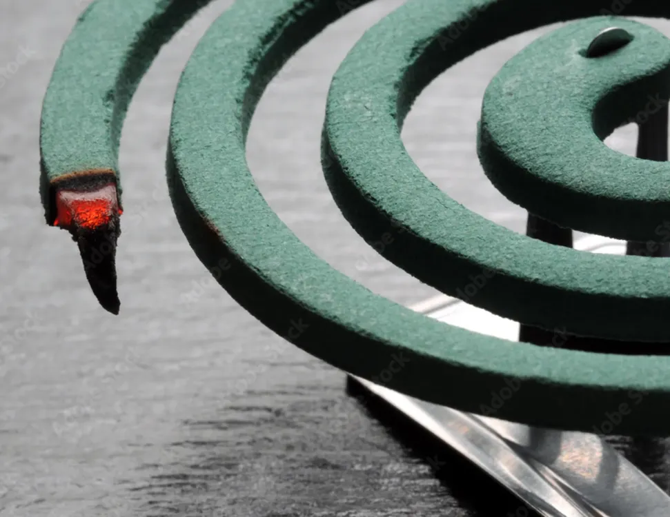 Gustavo Marrone retrospectiva de una figura esquiva del arte argentino (14)