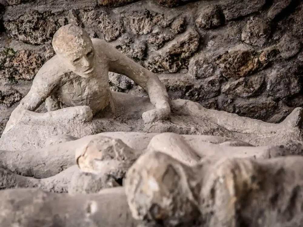 755685064_232364331_1706x1280