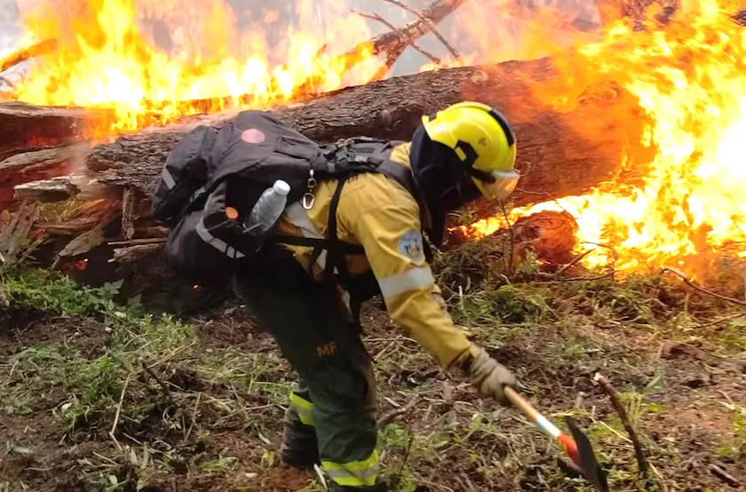 incendios_febrero_2025.01