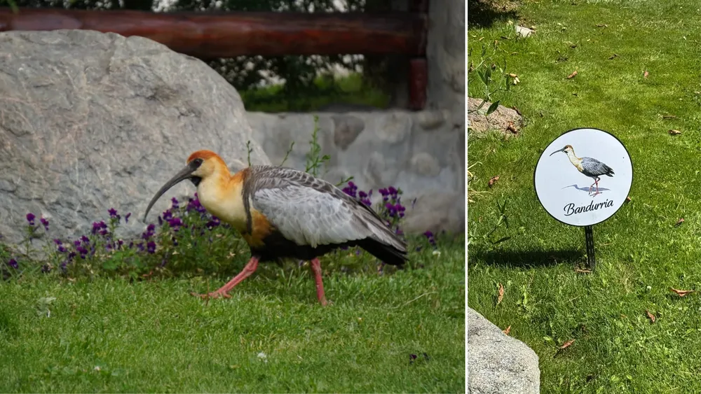 hoteles_masverde_004