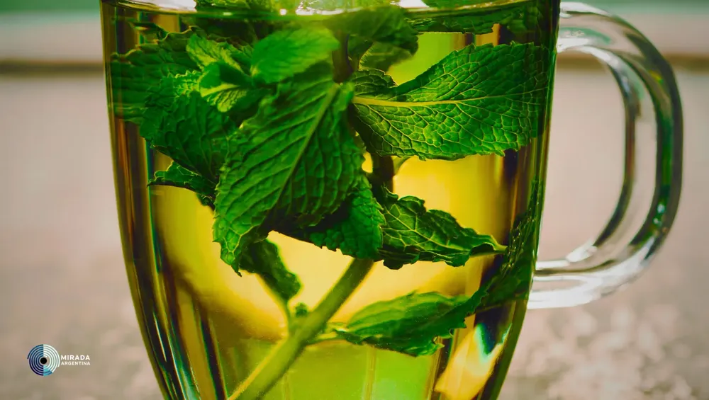  ramas de menta en un vaso con agua y unas gotas de vinagre