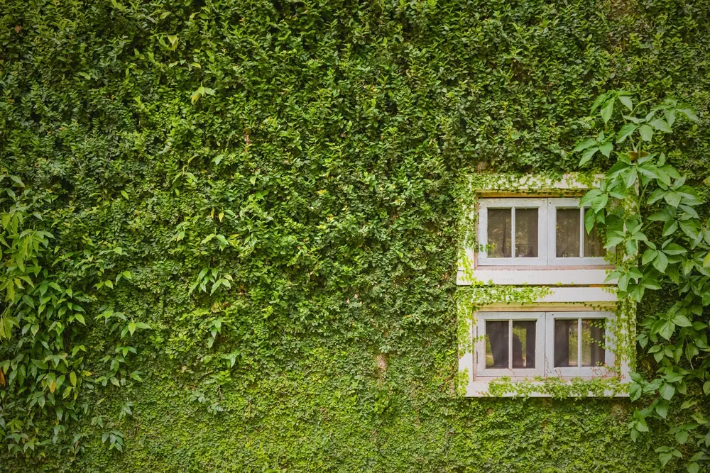 Entre Árboles, nuevo hotel boutique en Iguazú