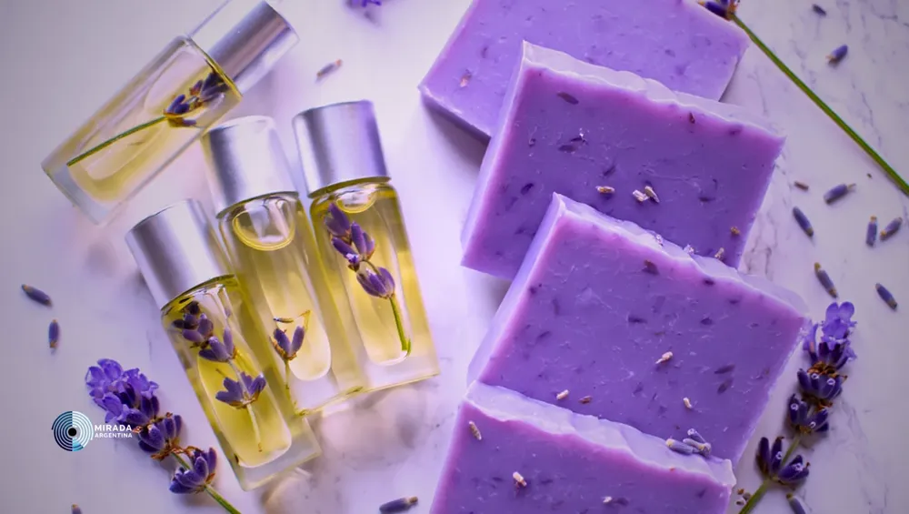 lavanda_2
