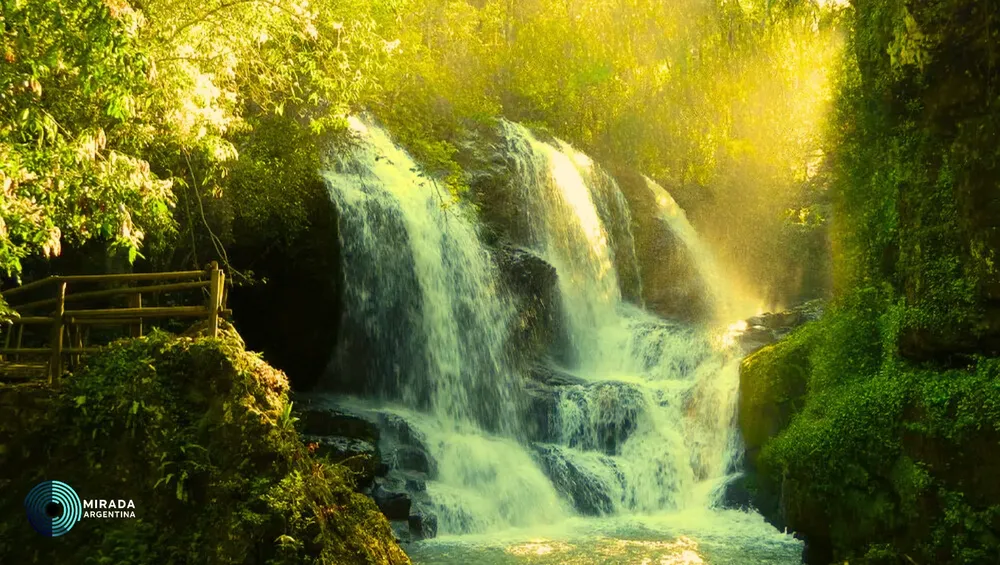 cascadaescondida_misiones_elsobervio