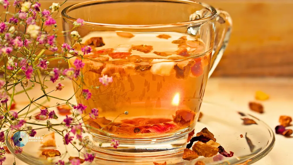 té_tapa_01